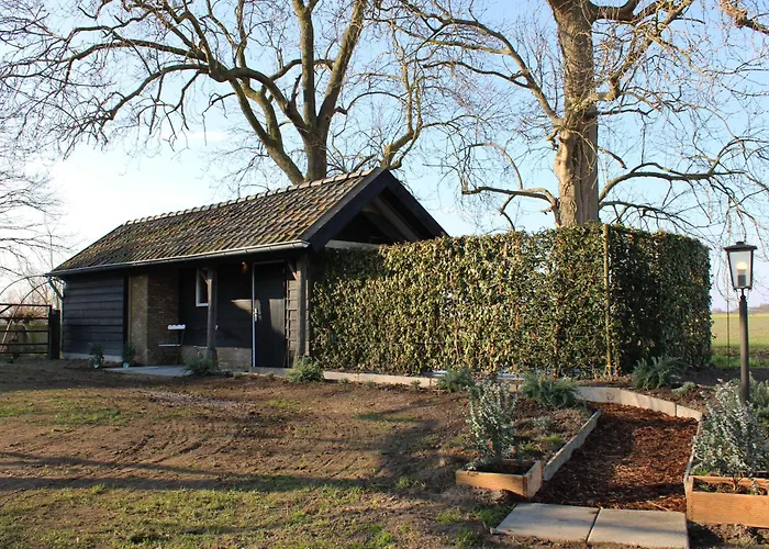 Bed & Breakfast De Kippenschuur Drongelen